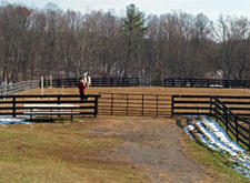 USA-Virginia-Blue Ridge Riding Clinic
